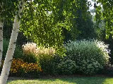 St. Jacobs Landscaping photo 8