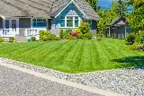 Augusta Lawn Care Services