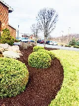 Paramo Landscaping, Inc photo 5