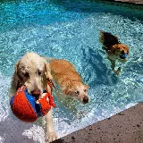 Pollock Pools & Spas photo 4