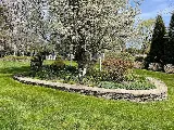 Lasko Landscaping LLC photo 4