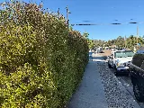 Aldape G Landscaping Inc photo 8