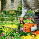 Super Green Lawn Care photo 5