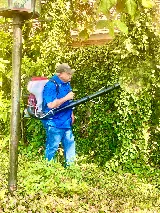 Bug Guys Pest Control photo 6