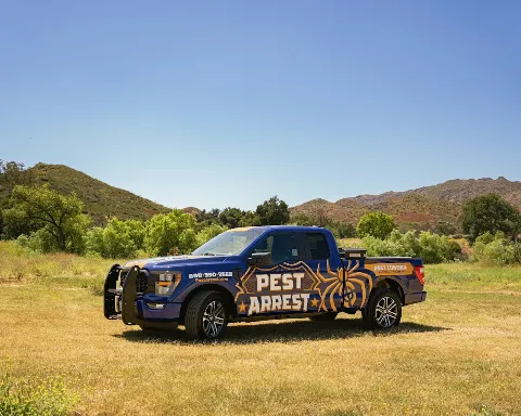 Pest Arrest in Santa Clarita
