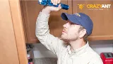 Crazy Ant Pest Control