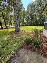 C & L Landscape photo 8