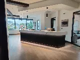 Zoom Electric photo 10