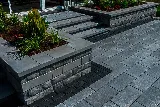 Avanti Landscaping photo 3