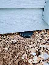 307 Pest, LLC