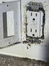 Suncoast Pest Management photo 3