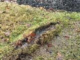 Canadian Soil Landscaping photo 5