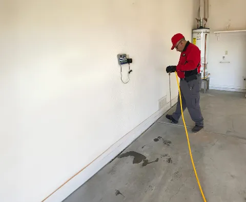 Supreme Termites & Pest Control photo 1