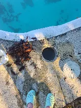Pinch A Penny Pool Patio Spa photo 6