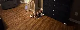 GoGo Floors photo 4