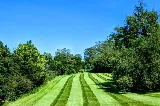 Signature Landscaping & Property Maintenance LLC photo 7
