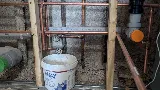 CDP Plumbing of Richmond Hill photo 8