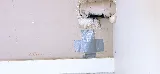 Local Pest Control Ltd photo 8