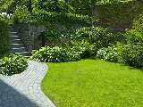 Oasis Lawn & Landscape, LLC photo 2