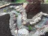 Whalen Lawn & Landscaping photo 2
