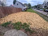 Brady's Landscaping photo 5