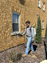 Reliable Pest Management photo 3