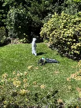 My Pest Pros photo 6