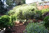 Pro Landscaping of Chula Vista photo 6