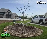 Walter's Lawn Service photo 4