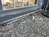 Colco Pest And Weed Control photo 4