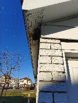 Maximum Pest Control Services photo 8