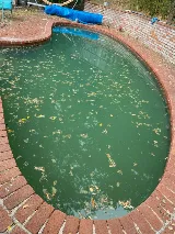 Jefrem's pool and spa service photo 3