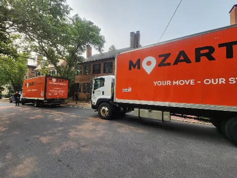 Mozart Movers photo 1