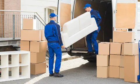 Hello Movers ?????? photo 1