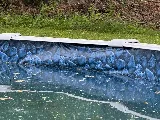 Splash Pool Services photo 5