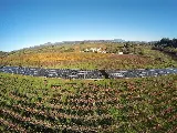 Westcoast Solar Energy photo 4