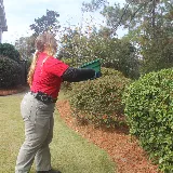 Palmetto Exterminators