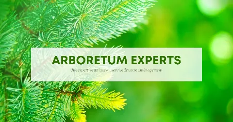 Arboretum Experts in Quebec City