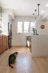 Green Smart Windows, Doors & Blinds photo 10