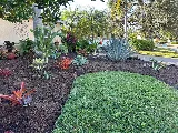 Newscape Lawn care and Landscaping LLC photo 2