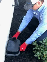 Romex Pest Control photo 8
