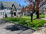 BellaVista Landscaping photo 3