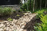 Thorpe Landscapes of Asheville photo 3