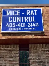 Mice Guys photo 2