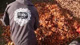 Blaska Landscaping photo 7