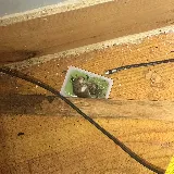 Nuisance RMVL LLC Pest Control photo 6