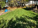 Colonial Pest Control Inc. photo 4