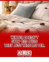ABC Termite & Pest Control photo 2