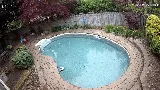 Honey Bee Lawn and Garden photo 2
