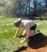 Gladiator SOD and Landscaping Knoxville photo 5